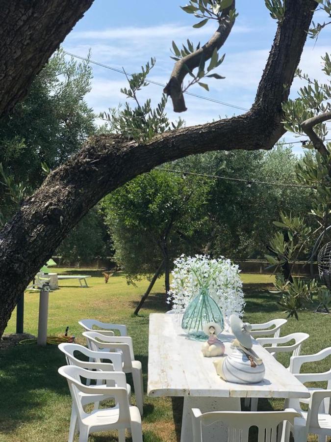 Pensione Degli Ulivi Porto SantʼElpidio المظهر الخارجي الصورة