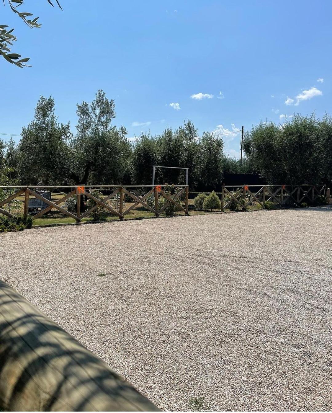 Pensione Degli Ulivi Porto SantʼElpidio المظهر الخارجي الصورة