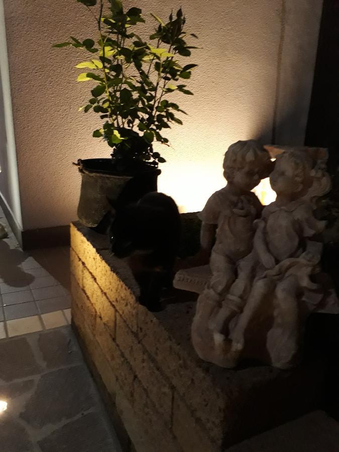 Pensione Degli Ulivi Porto SantʼElpidio المظهر الخارجي الصورة